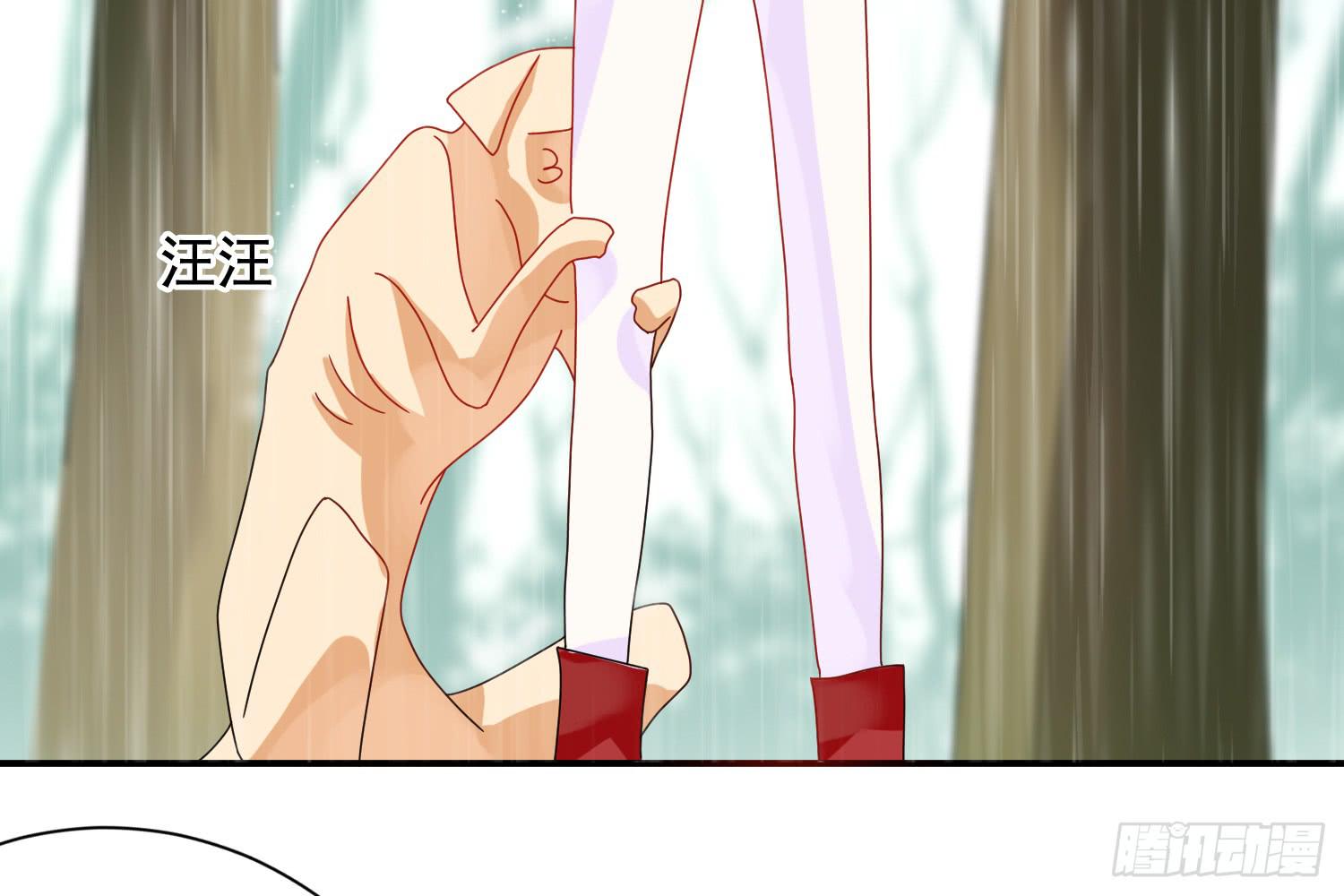 林中小屋6