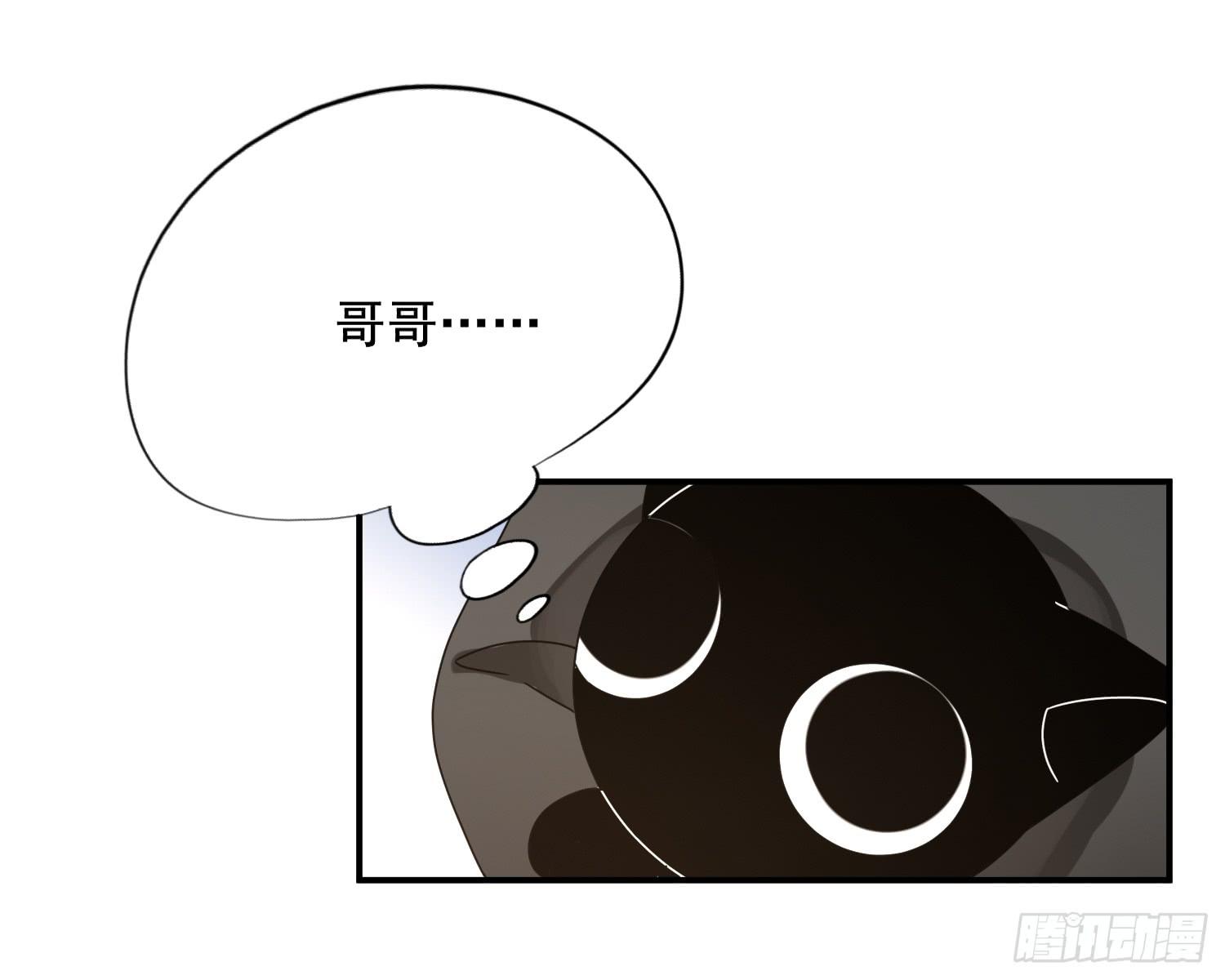 林中小屋48