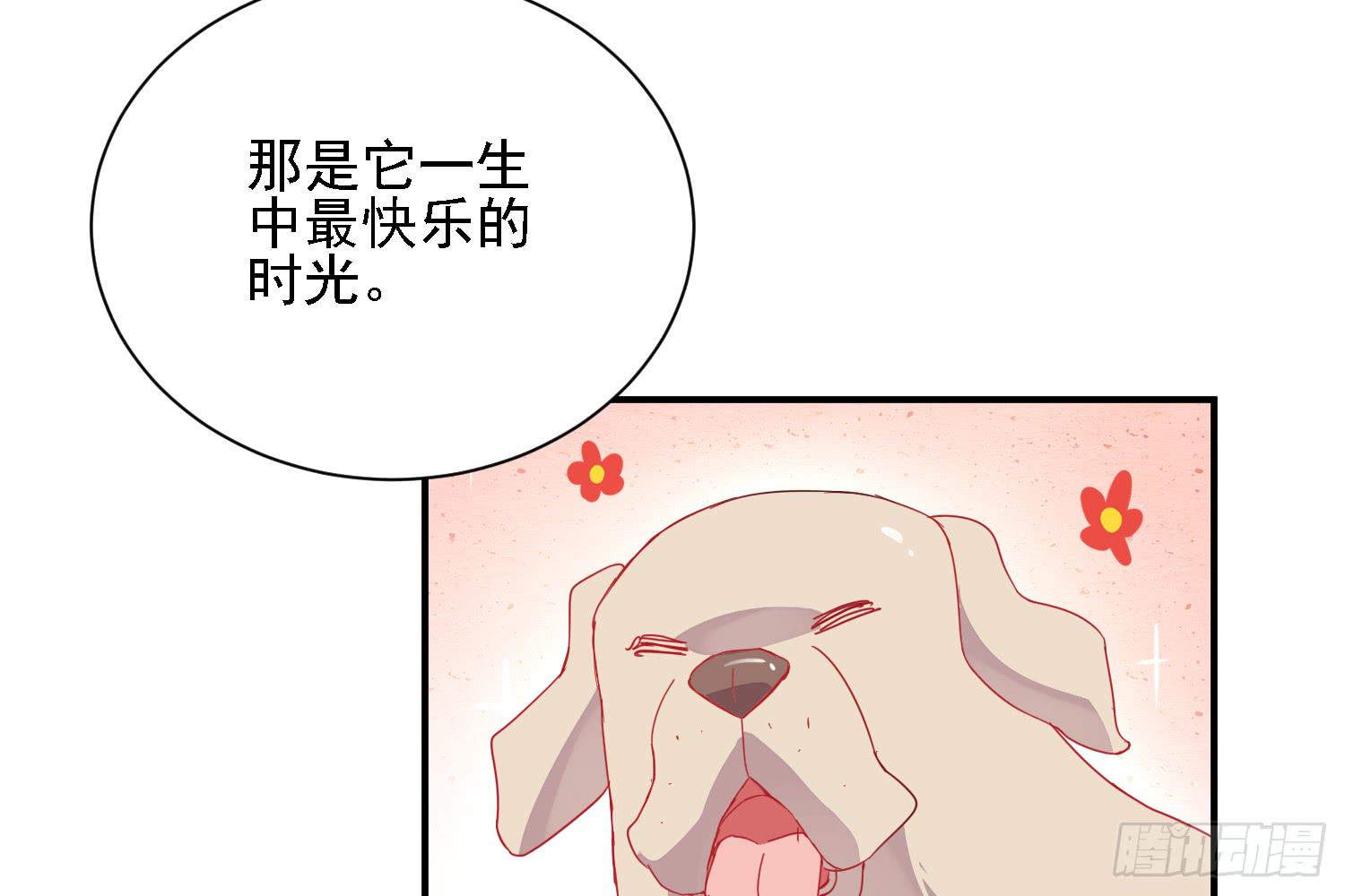 骑在狗背上的男孩53