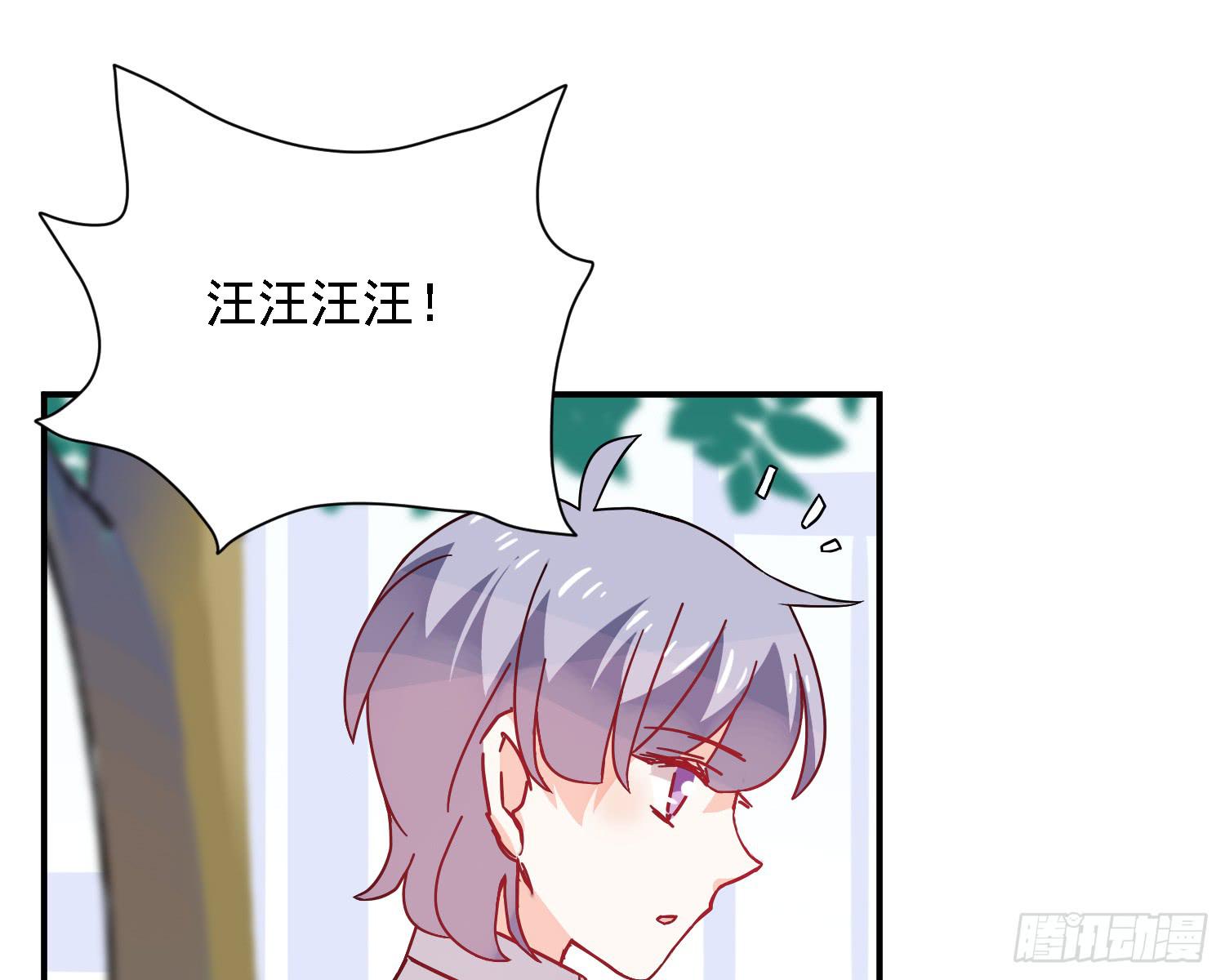 骑在狗背上的男孩11