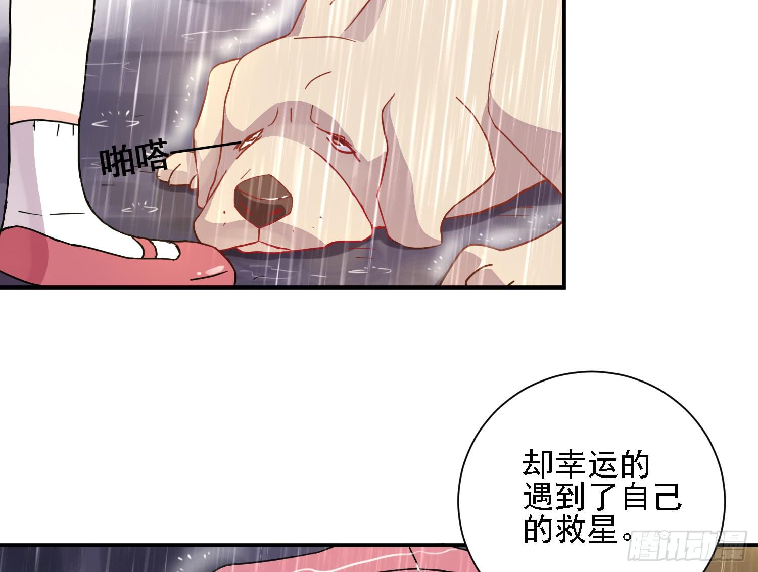 骑在狗背上的男孩44