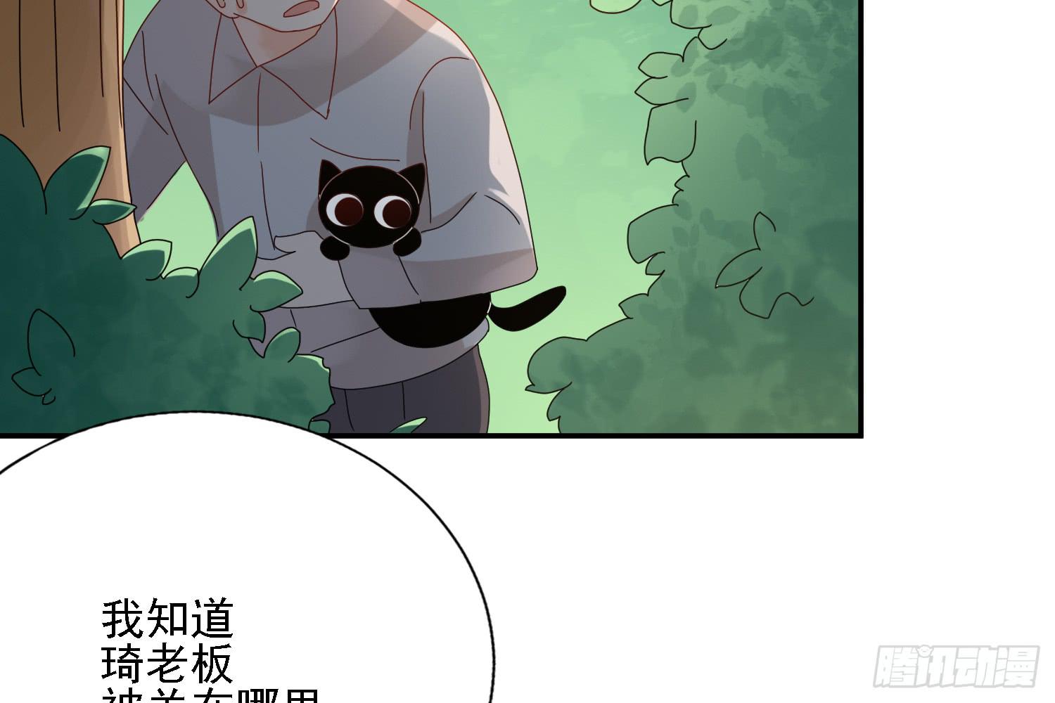 营救计划39