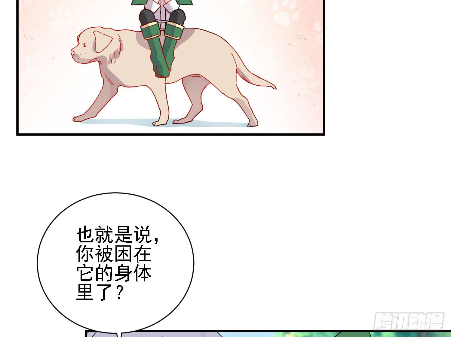 骑在狗背上的男孩35