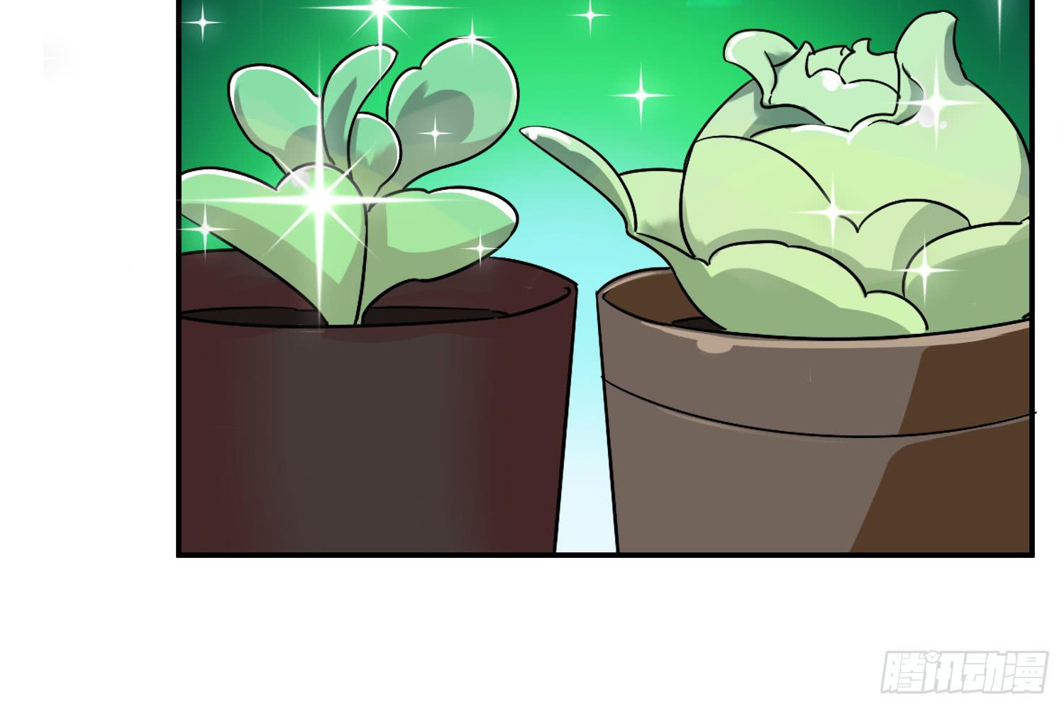 植物就要有植物的样子140