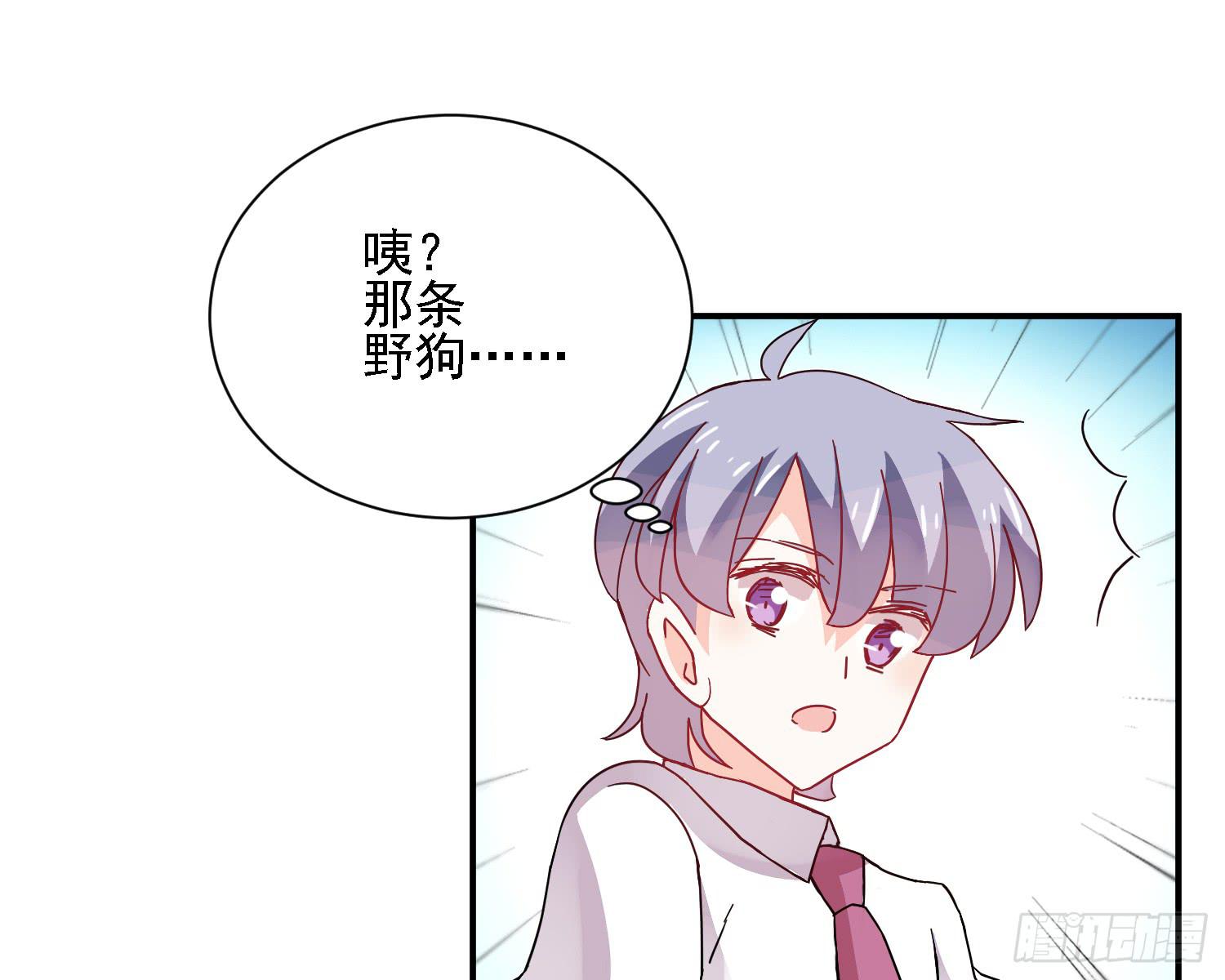 骑在狗背上的男孩15