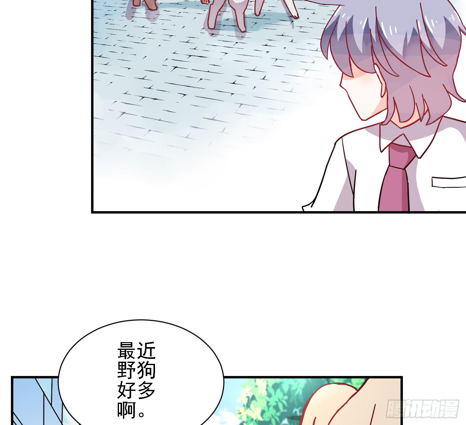骑在狗背上的男孩13