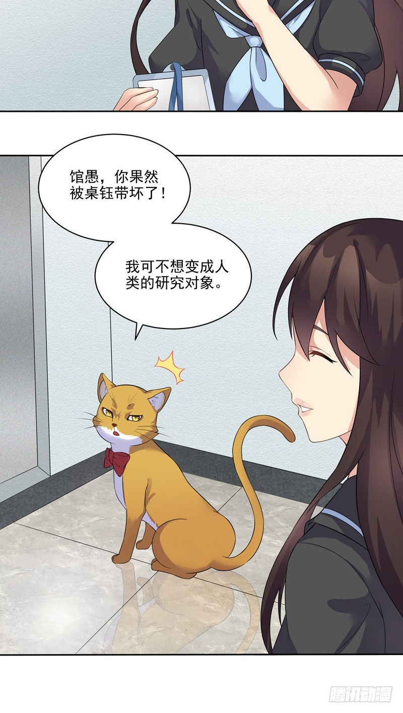 正反拼图033