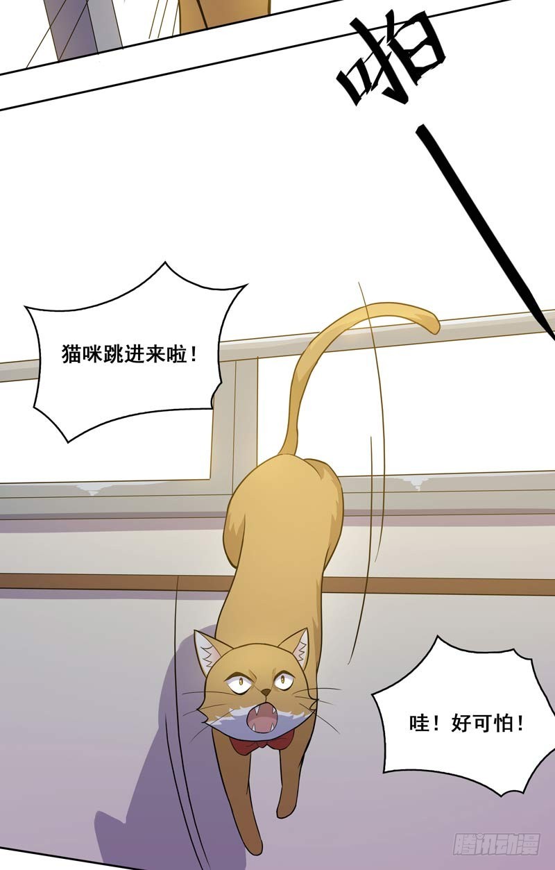 正反拼图1016
