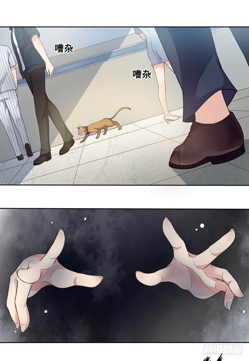 正反拼图041
