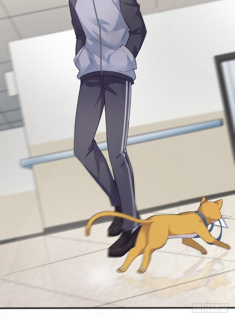 正反拼图0312