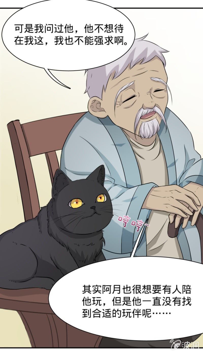 第18话 领养猫妖1