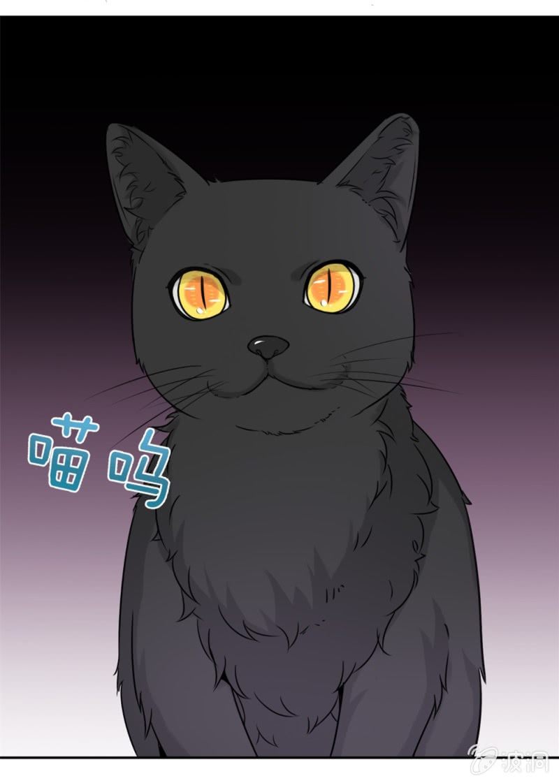 第15话 它可不是普通的猫14
