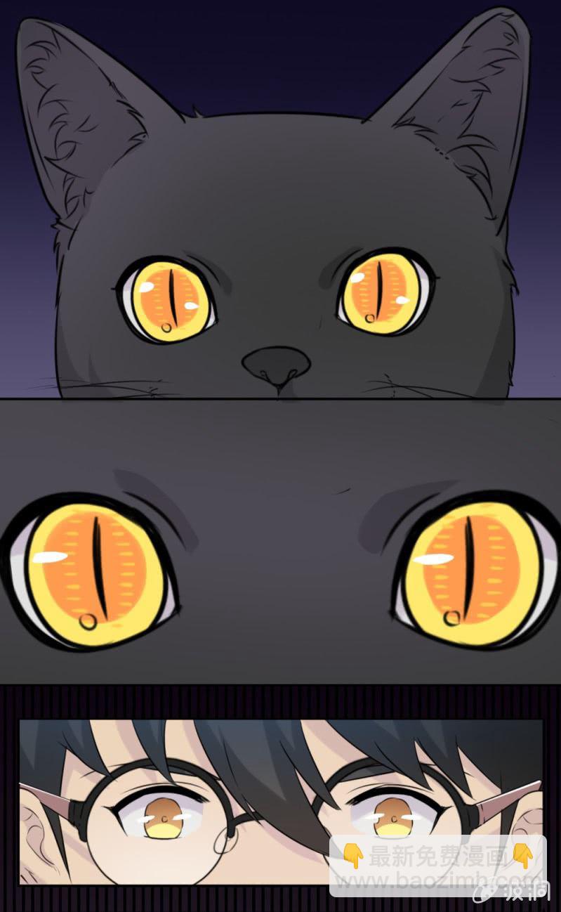 第15话 它可不是普通的猫5
