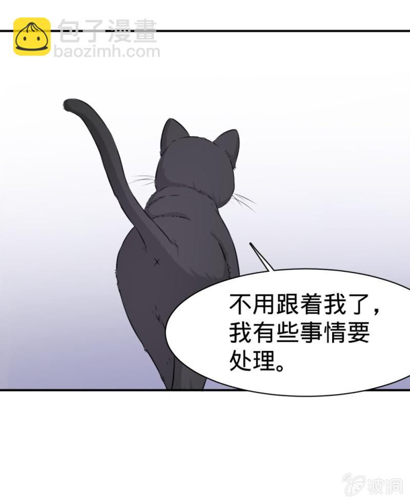 第18话 领养猫妖7