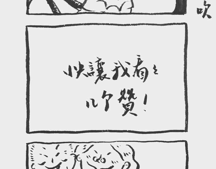 照相记（上）7