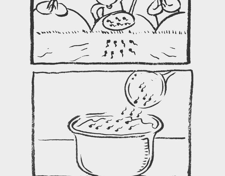 蝌蚪记11