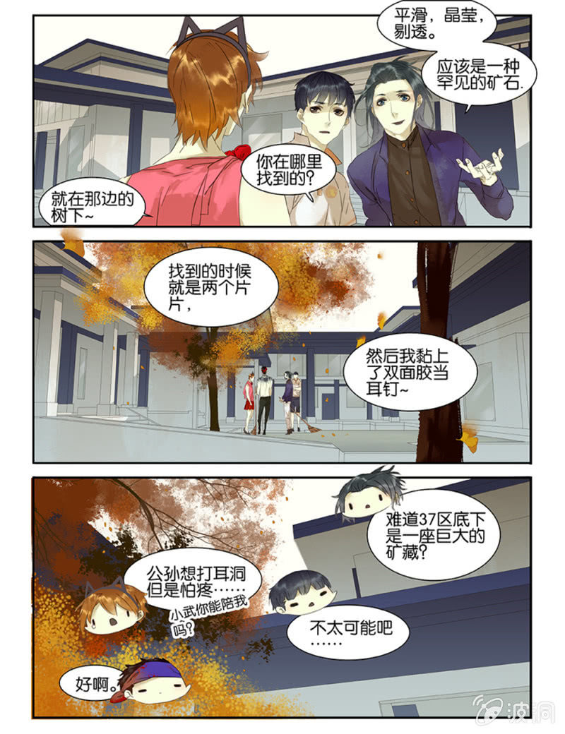 37区鉴宝2