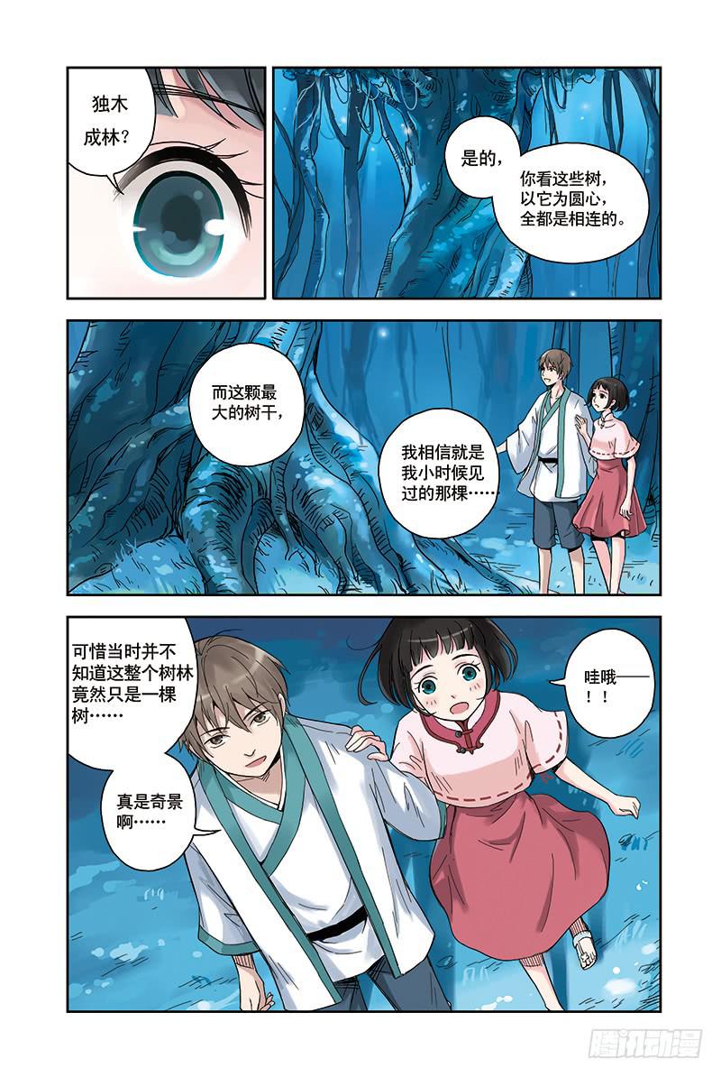 第20回 寻树12