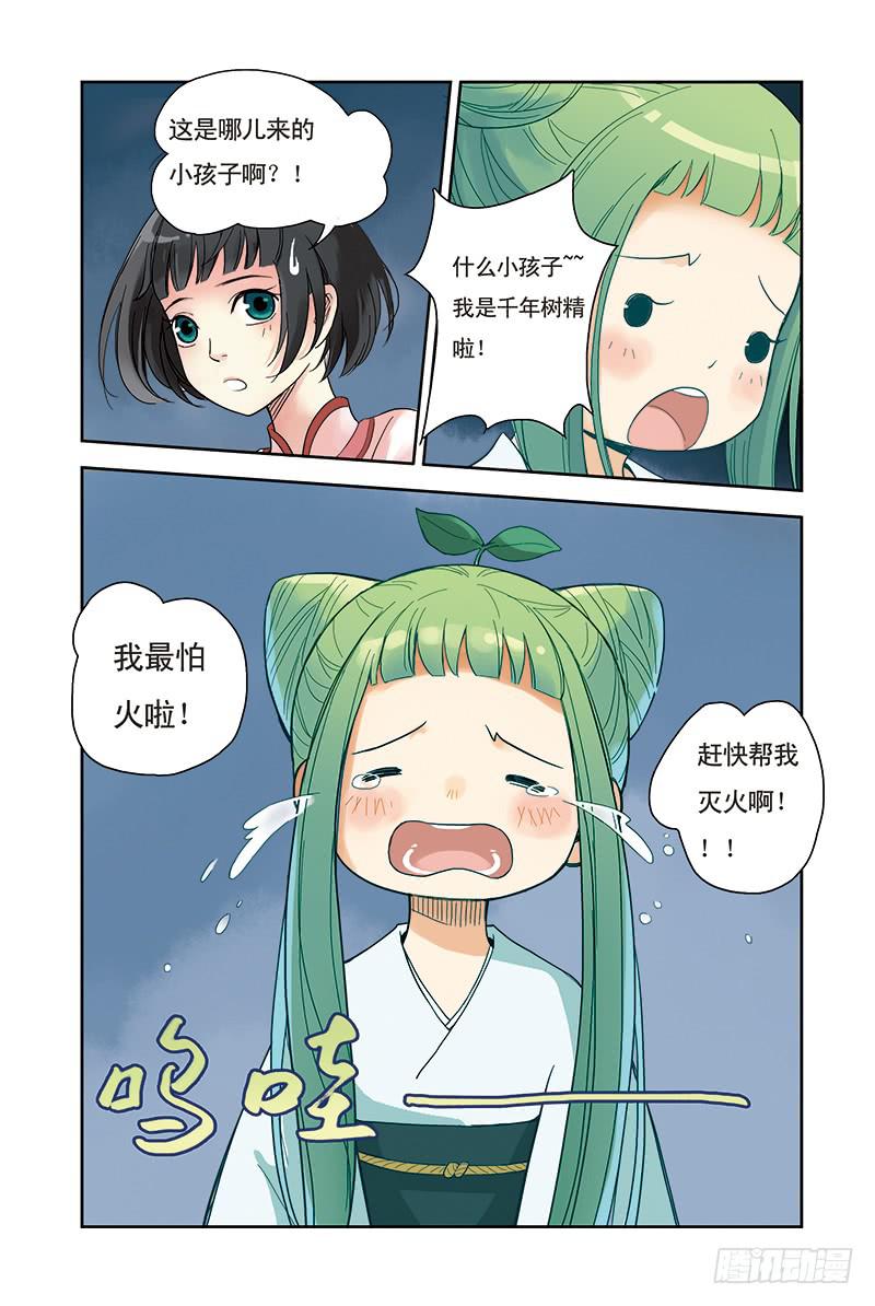 第20回 寻树19