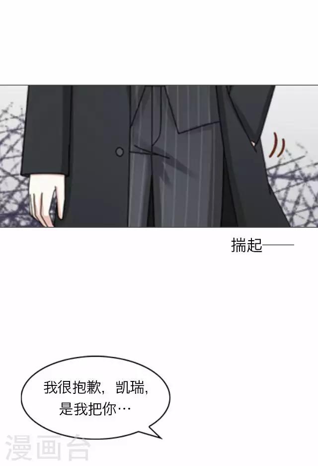 第23话 王绍奇737