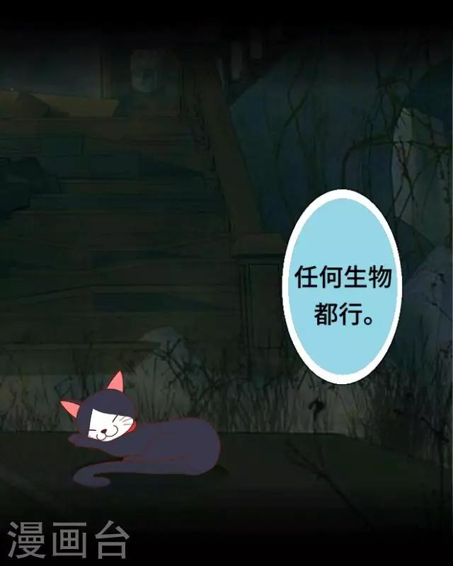 第2话 苏小七233