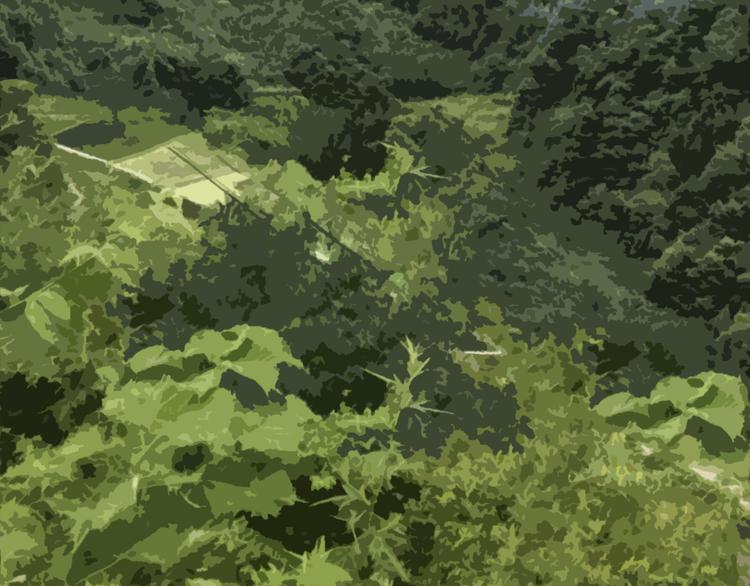 第十话 血月当空57