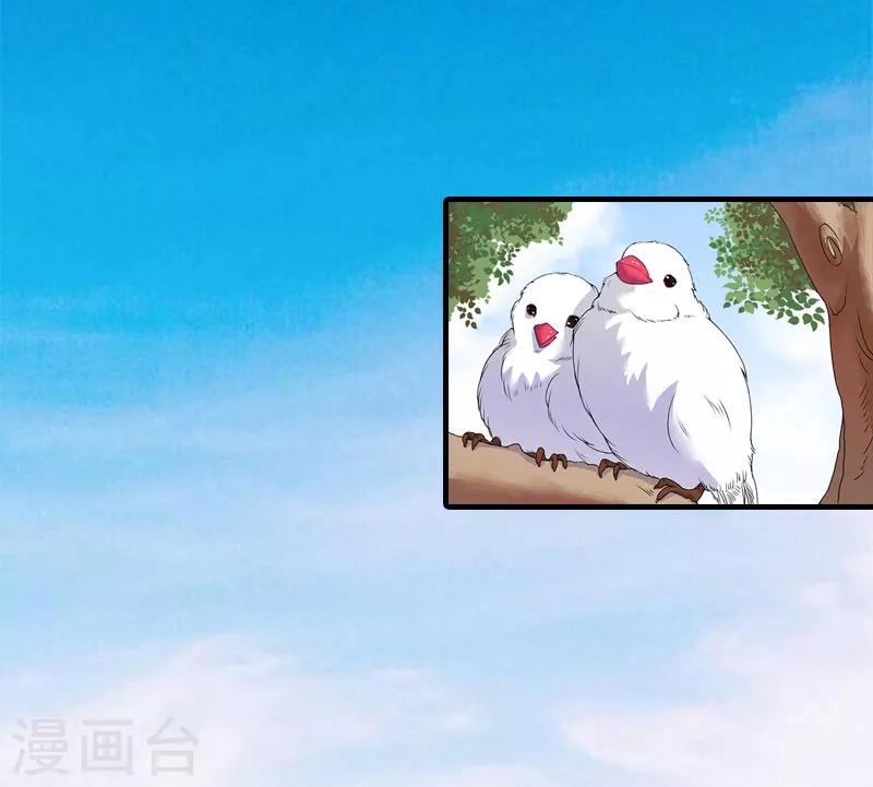 第11话 你是我秘书1