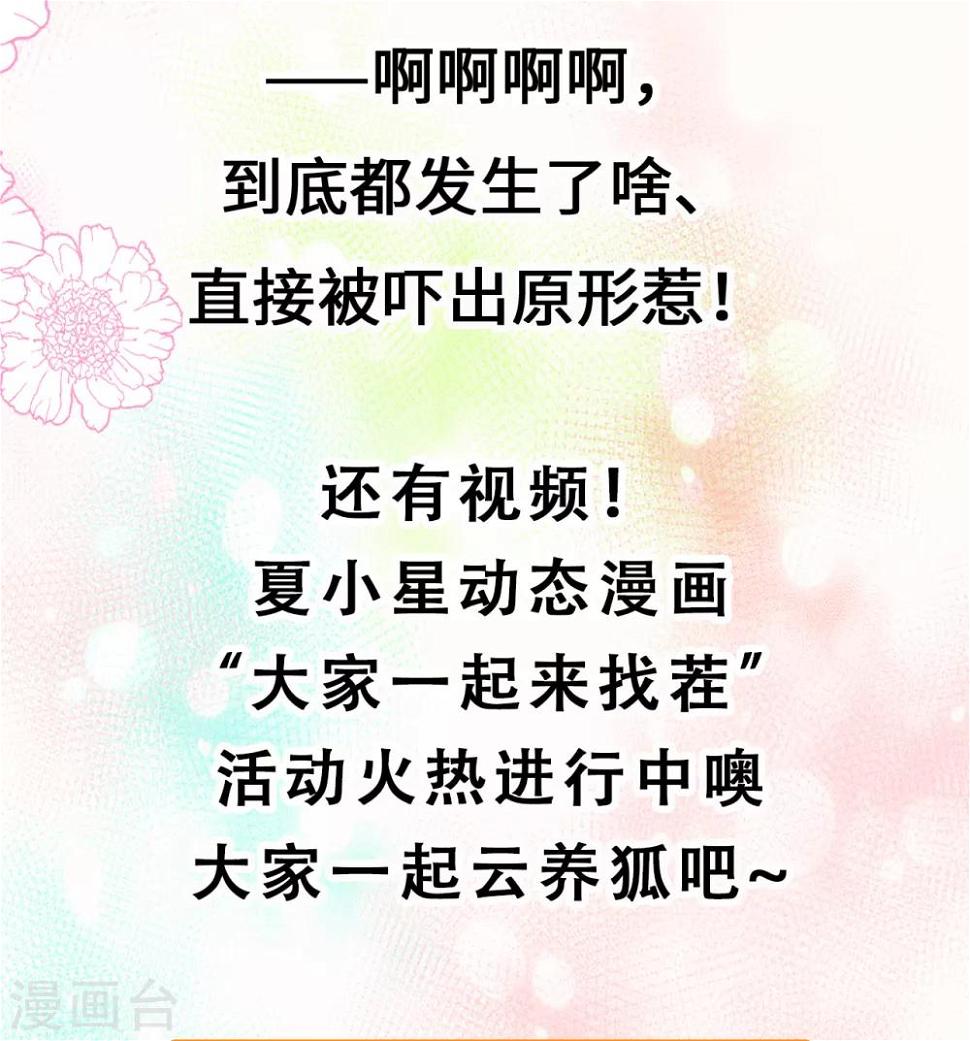 停更公告4