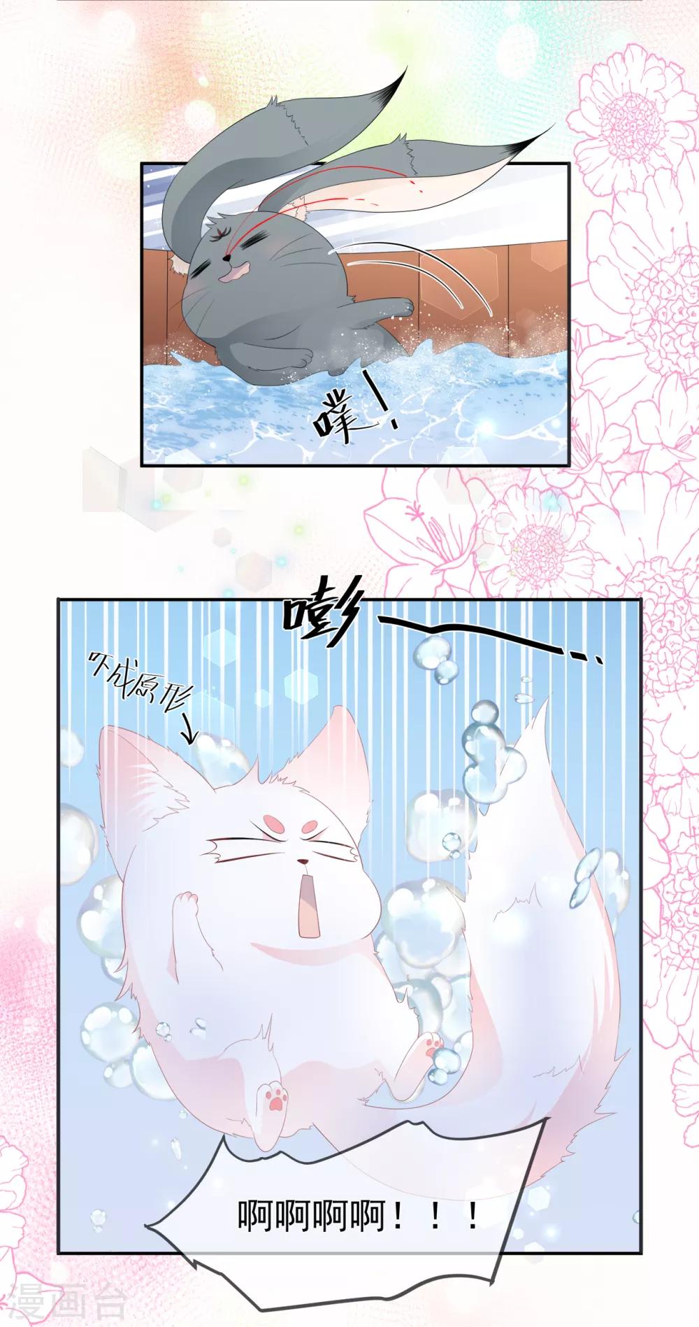 停更公告3