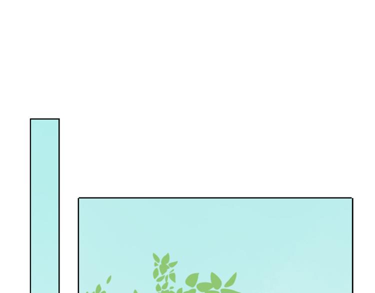 第20话 星愿0