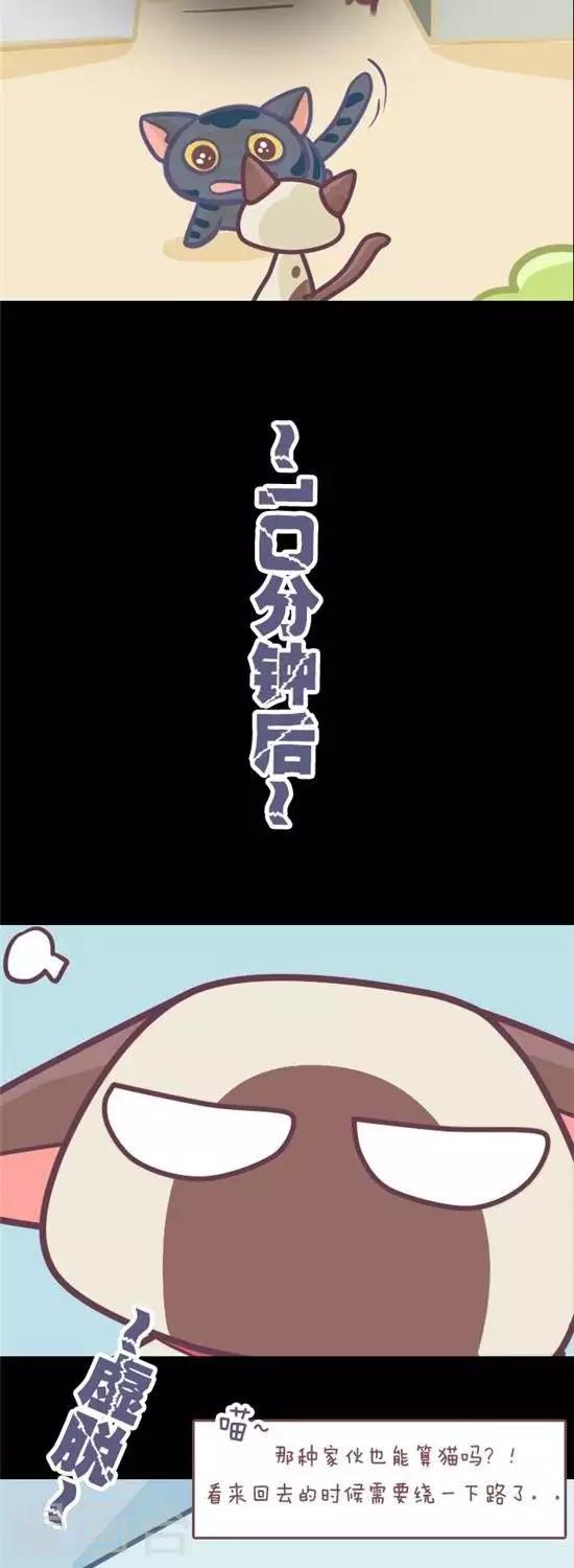 第5话2