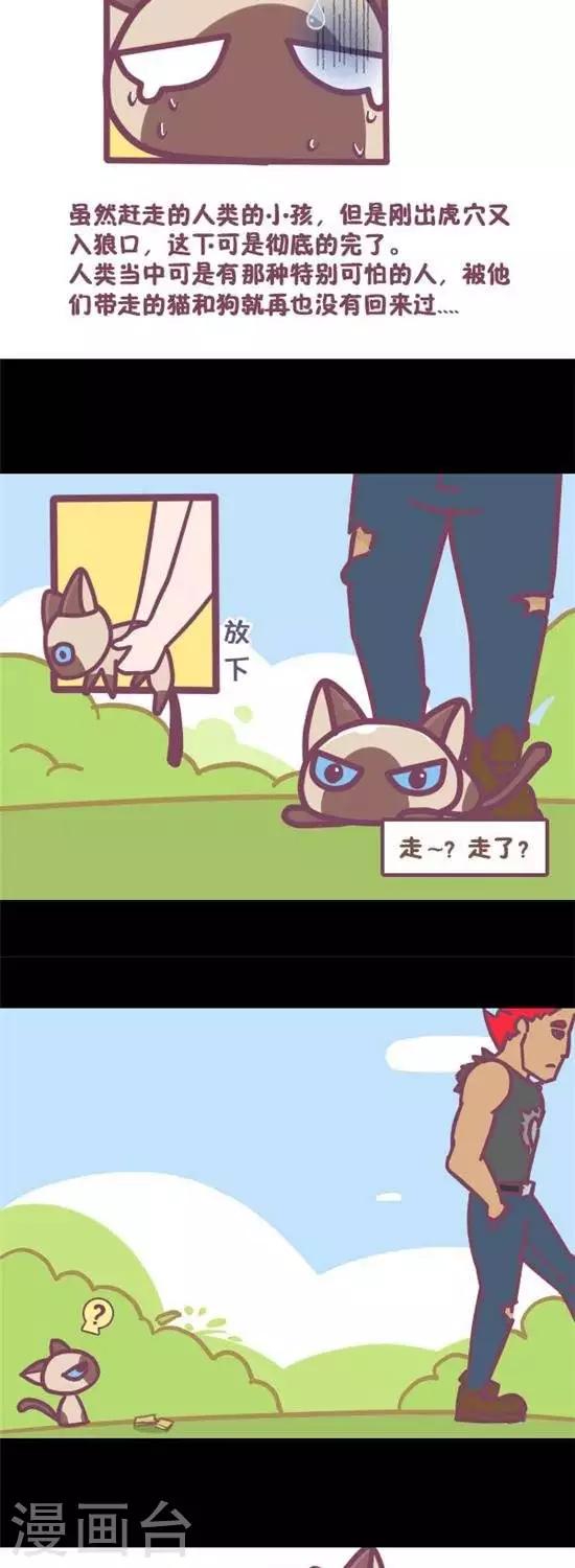 第11话7