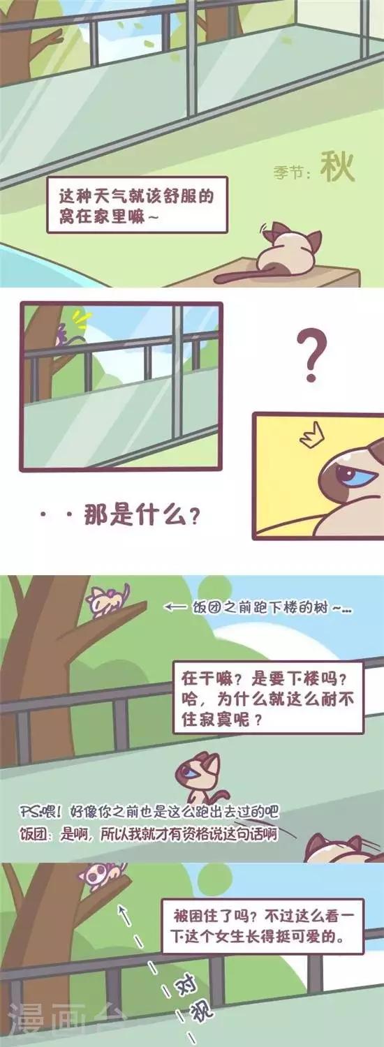 第16话0