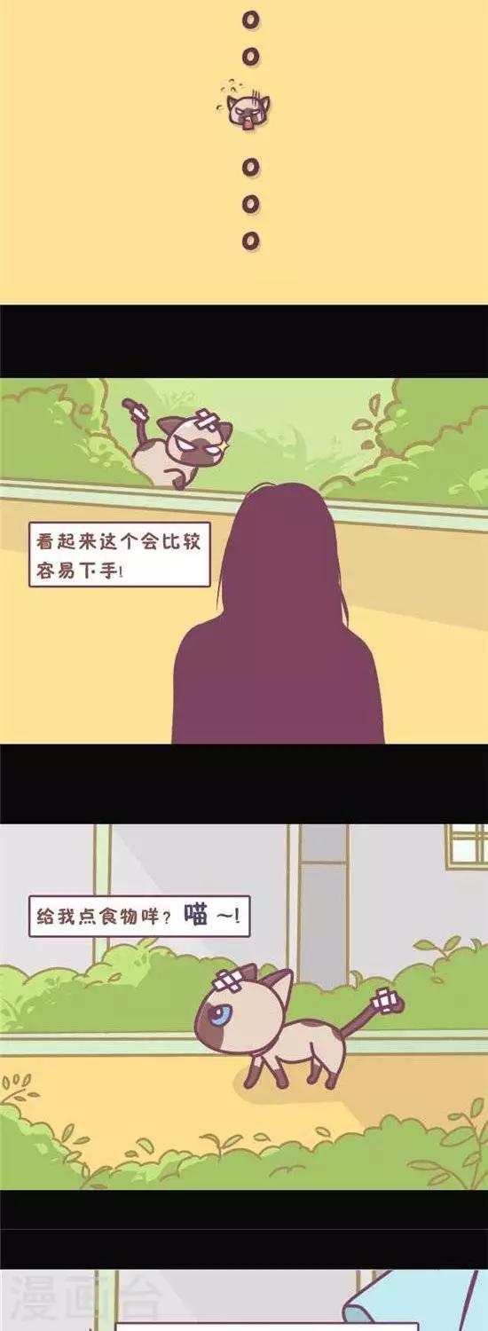 第8话3