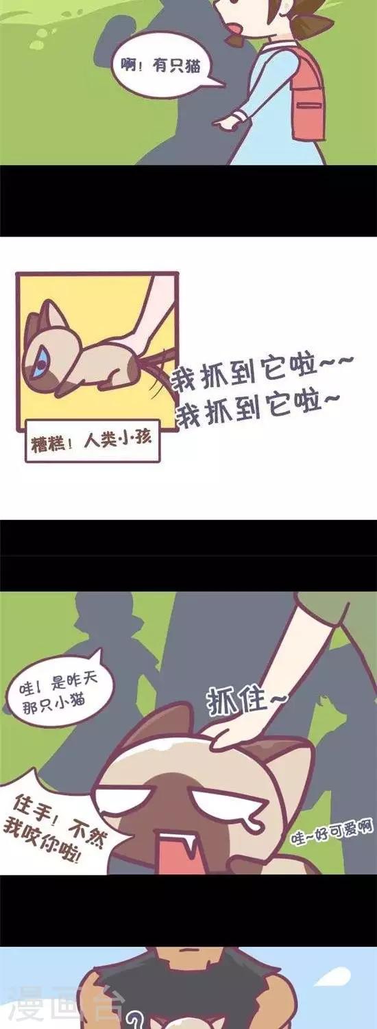 第11话5