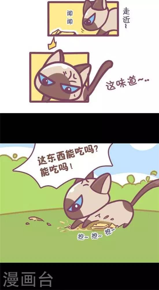 第11话8