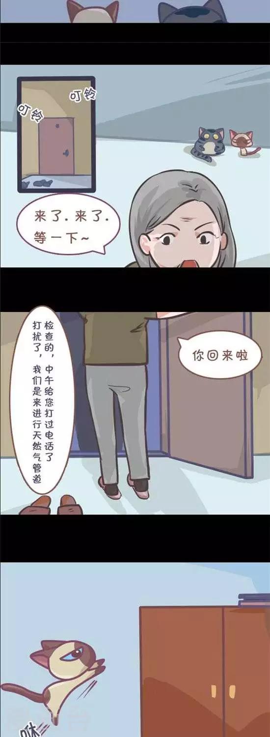 第9话6