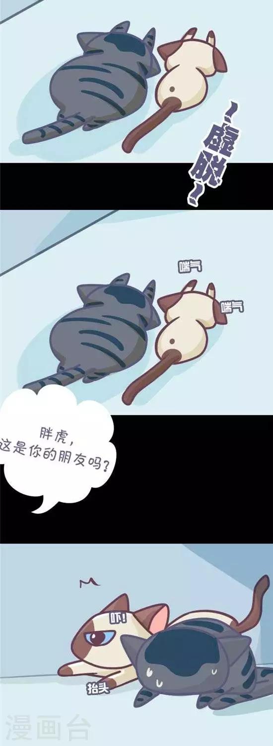 第5话3