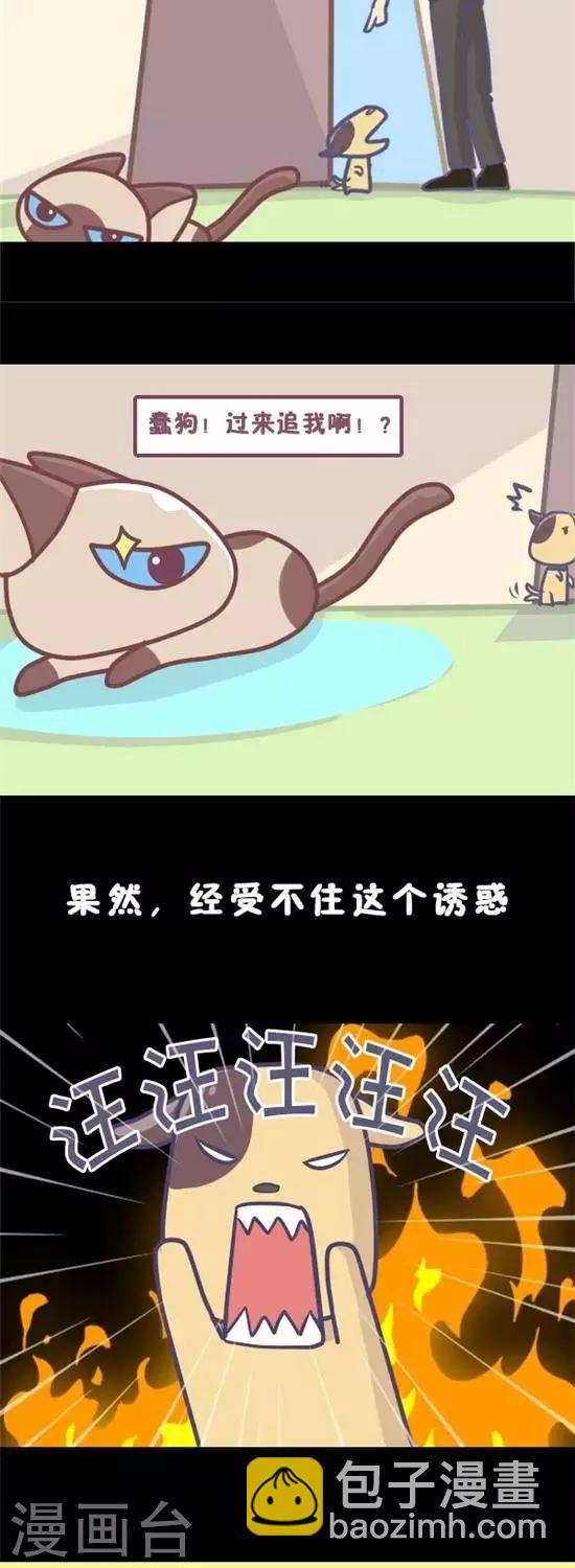 第12话4