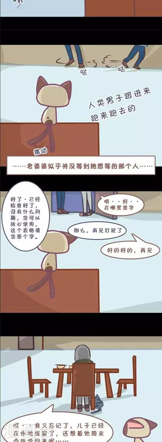 第9话7