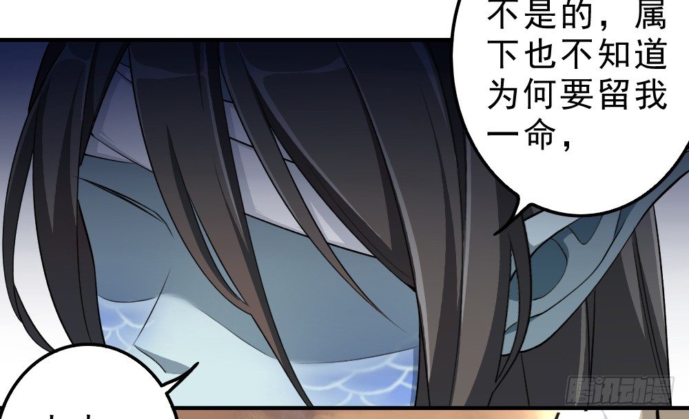 机会12