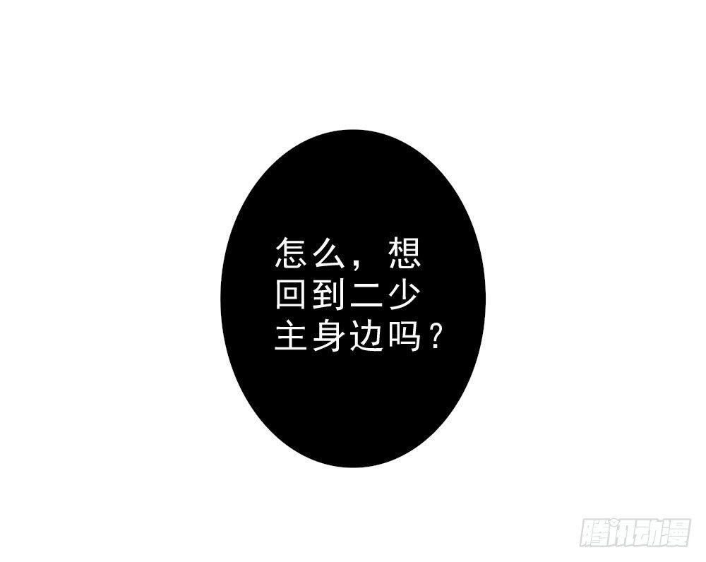 机会20