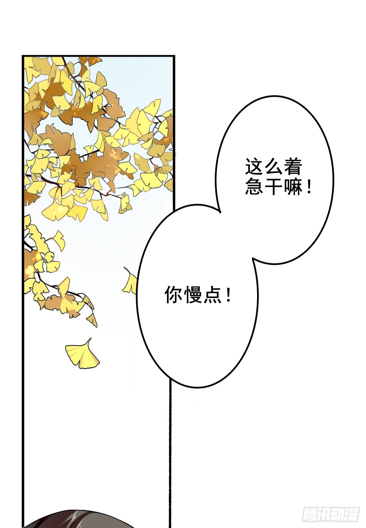 冲突14