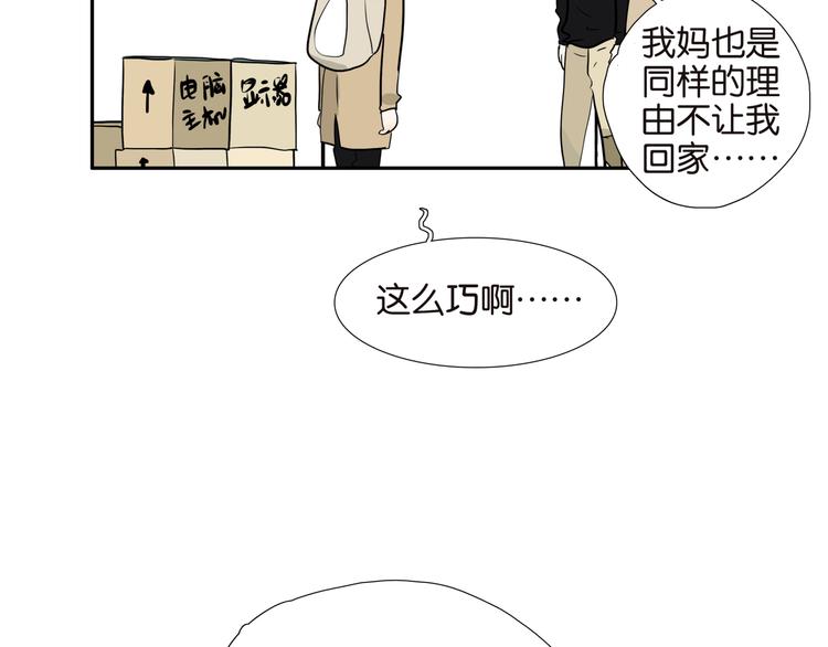 002厕所，工人，浣熊11