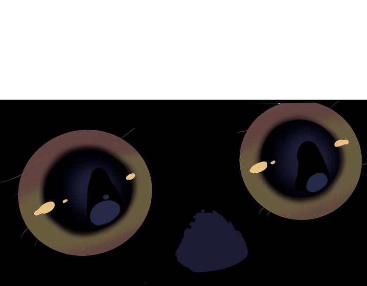 第7话  看见死神的黑猫32