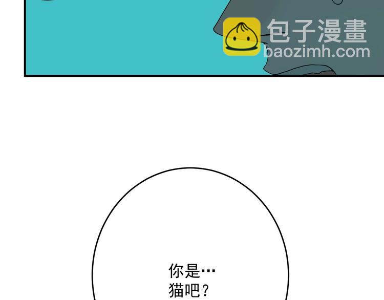 第4话   猫觅馋84