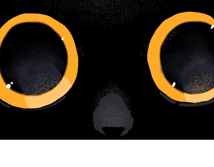 第7话  看见死神的黑猫53
