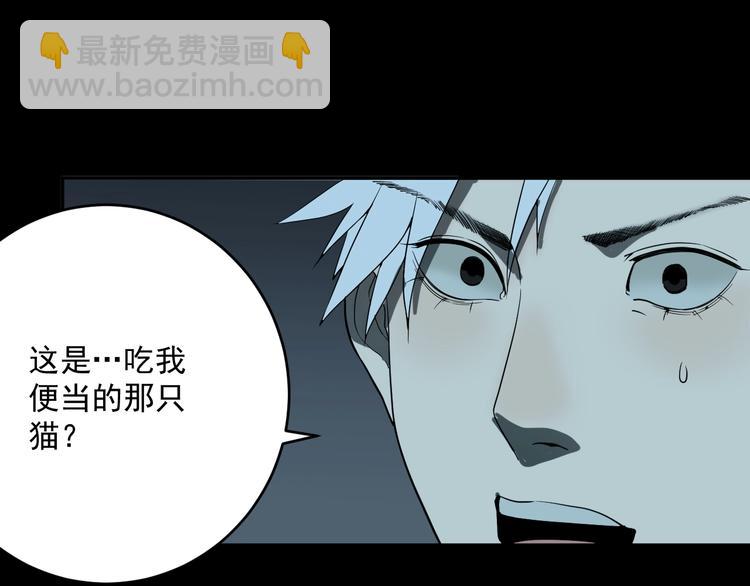 第4话   猫觅馋68