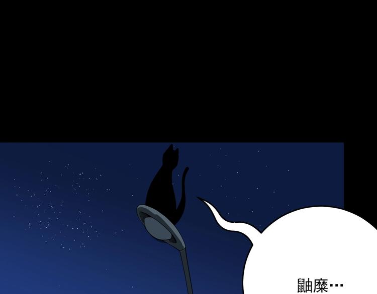 第4话   猫觅馋63