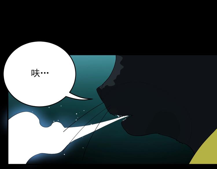 第4话   猫觅馋69